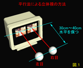 図1:平行法による立体視の方法