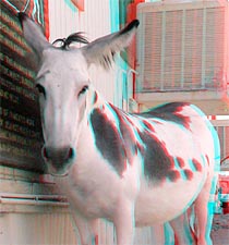 210pix JPEG摜ǍI