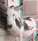 150pix GIF摜ǍI