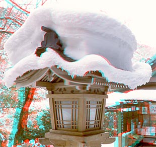 310pix JPEG摜ǍI